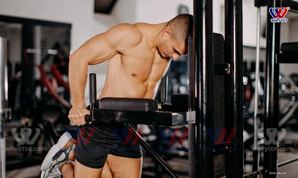 tập ngực với xà kép có thể dùng trợ lực bằng dây kháng lực