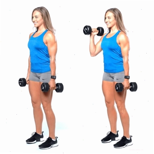 Tập tay trước với tạ đơn bằng động tác Alternating Hammer Curl