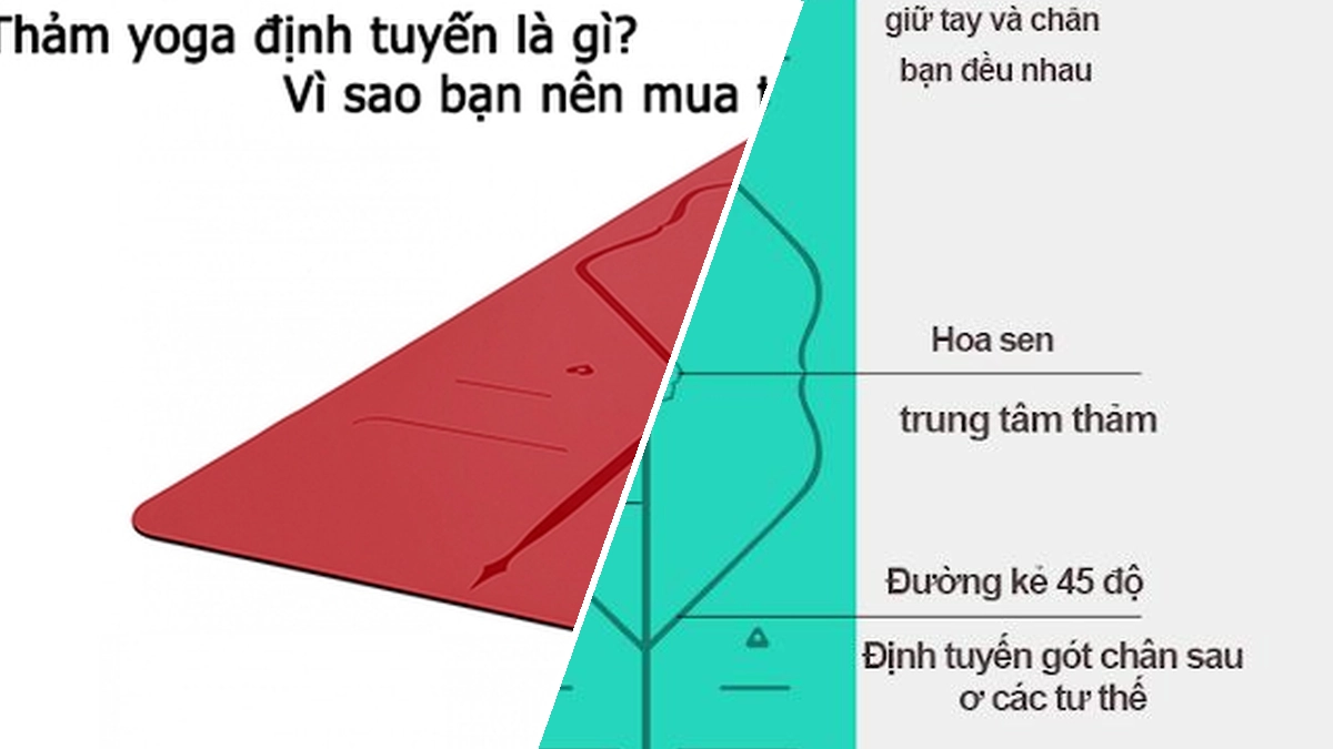 Thảm Yoga Định Tuyến là gì? Hướng dẫn sử dụng và bảo quản chi tiết