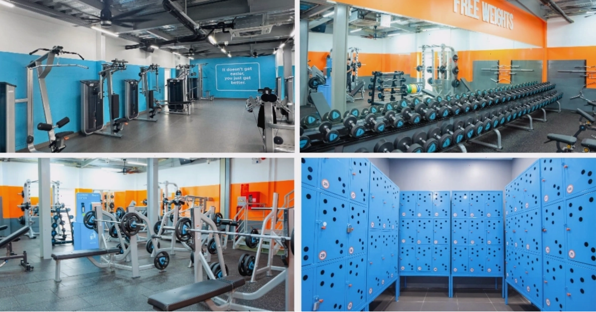 The New Gym