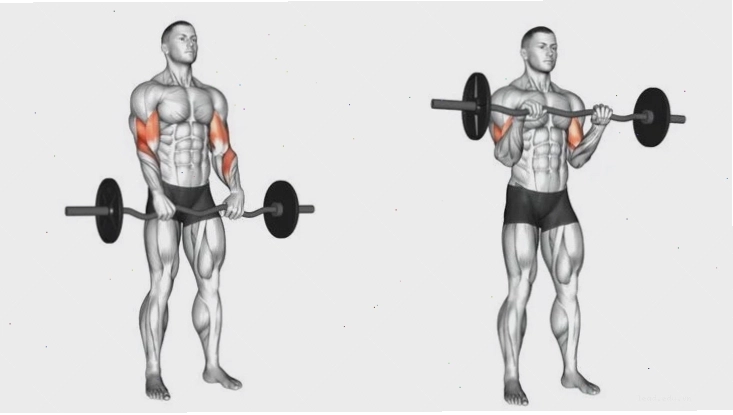 Thực hiện bài tập cuốn tạ đơn trên ghế dốc nhắm vào đầu dài cơ nhị đầu