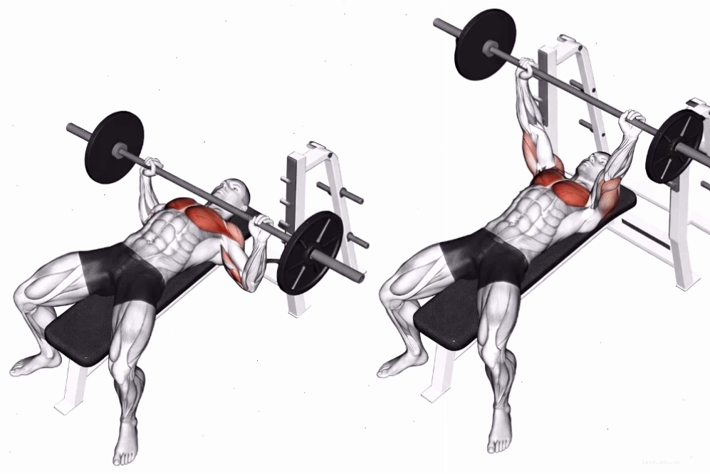 Thực hiện Barbell Bench Press đúng kỹ thuật