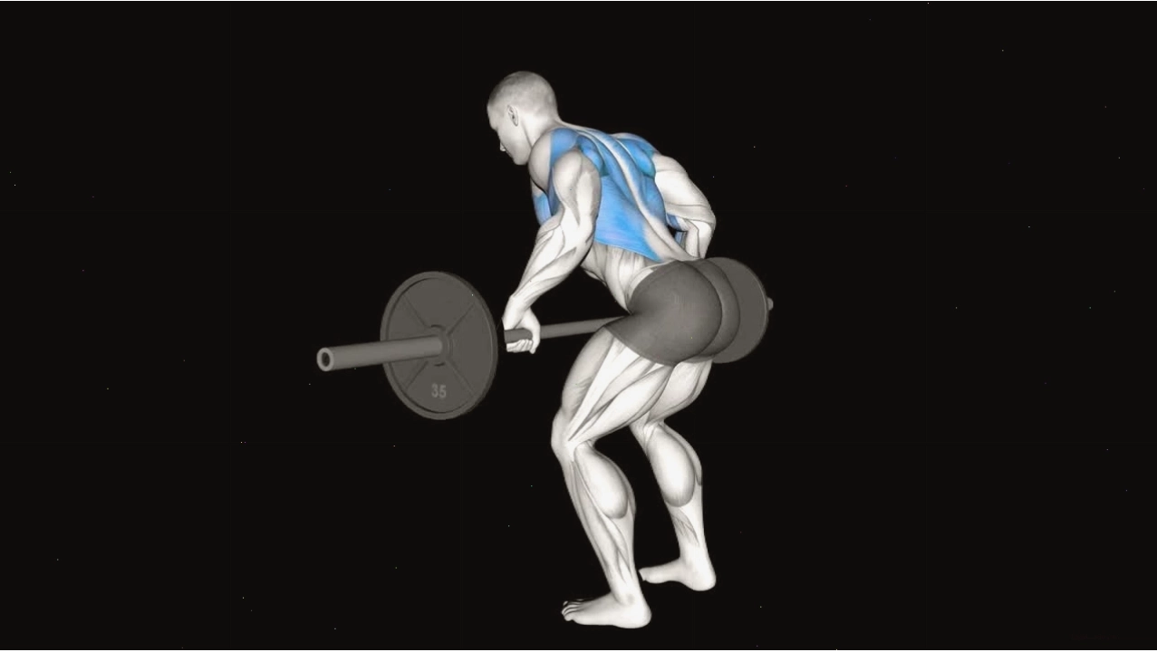 Thực hiện động tác kéo Wide Grip Seated Cable Row