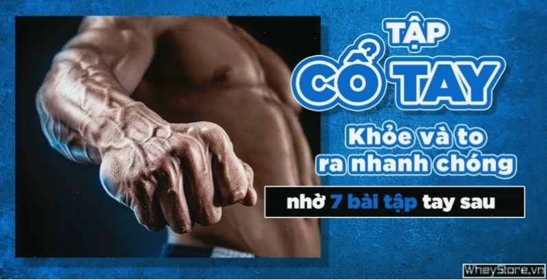 Thực hiện động tác xoay cổ tay với tạ đơn