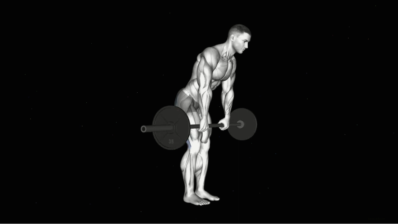 Thực hiện sumo squat với tạ đơn