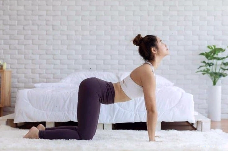 Thực hiện tư thế con mèo trong bài tập Cat-Cow yoga