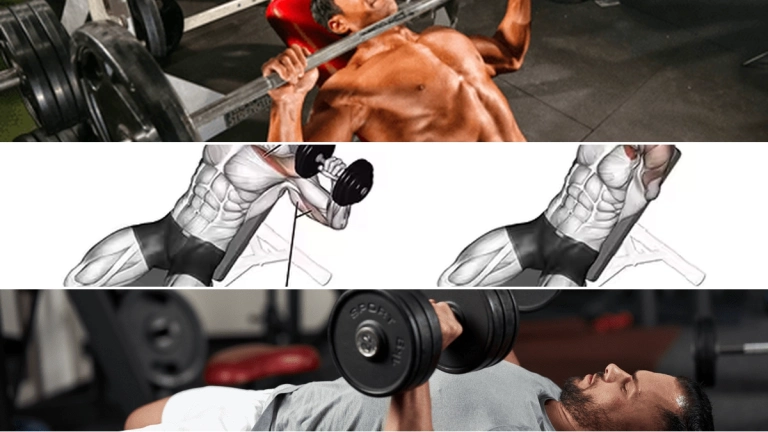 Tối ưu bài tập ngực trên: Hướng dẫn chi tiết cho cơ ngực vạm vỡ