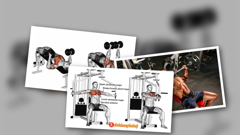 Tối Ưu Bài Tập Ngực Trong Phòng Gym: Xây Dựng Cơ Ngực Toàn Diện