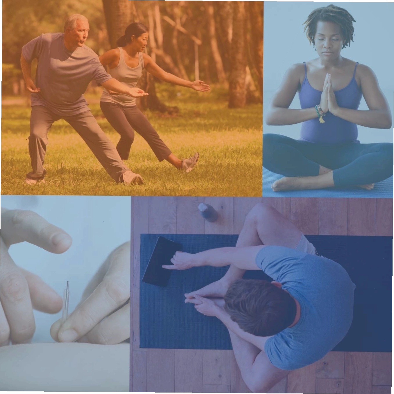 Tổng hợp các hình ảnh minh họa cho các thực hành tâm-thân khác nhau như yoga, thiền định, và thái cực quyền.