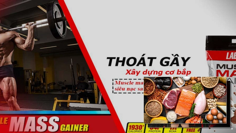 Top Thực Phẩm Bổ Sung Hỗ Trợ Tối Ưu Cho Người Tập Gym