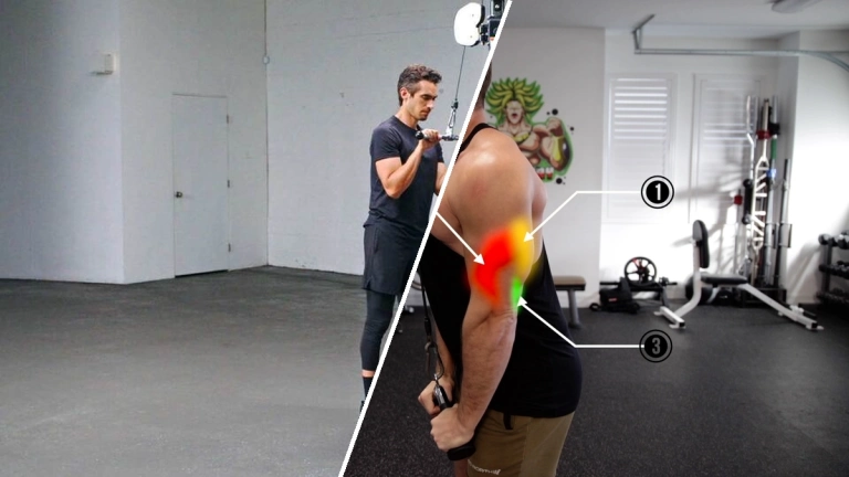 Triceps Cable Pushdown: Hướng dẫn kỹ thuật chuẩn xác và biến thể