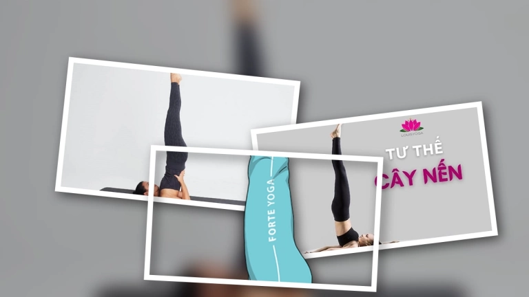 Tư thế cây nến: Hướng dẫn chi tiết, lợi ích và cách tránh lỗi sai