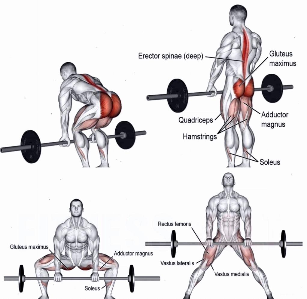 Tư thế dựng hơn của Sumo Deadlift