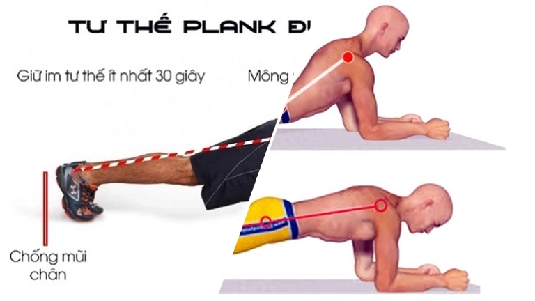 Tư thế Plank đúng cách: Lợi ích và Hướng dẫn chi tiết