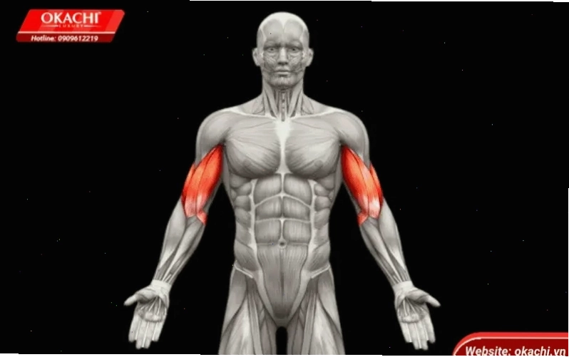 Vận động viên chạy bộ với cánh tay chuyển động nhịp nhàng
