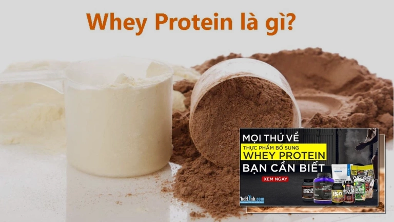 Whey Protein là gì? Giải đáp mọi thắc mắc về lợi ích và cách dùng