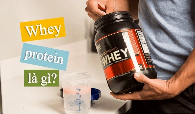Whey protein là một trong những protein chính được tìm thấy trong các sản phẩm từ sữa