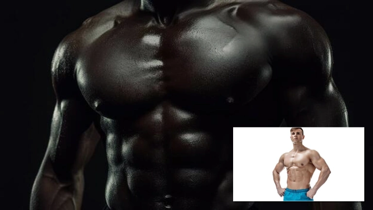 Xây dựng cơ bắp ngực ấn tượng: Hướng dẫn chi tiết cho người mới bắt đầu